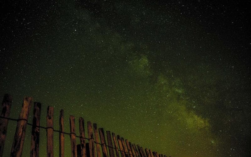 Estate Sale vs Yard Sale: What's the Difference?