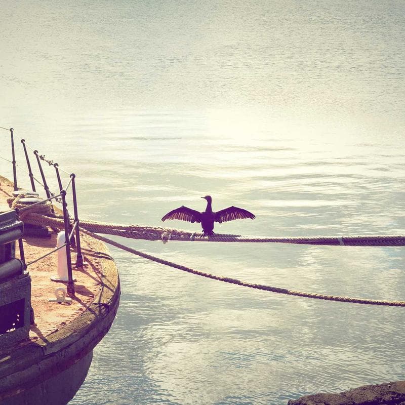 FREE - Moving Boxes (Various Sizes) — main photo