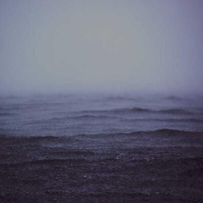 Herman Miller Eames Lounge Chair