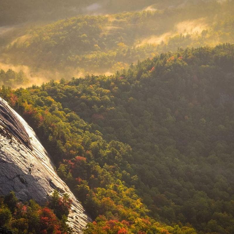 Antique Book Collection - First Editions — main photo