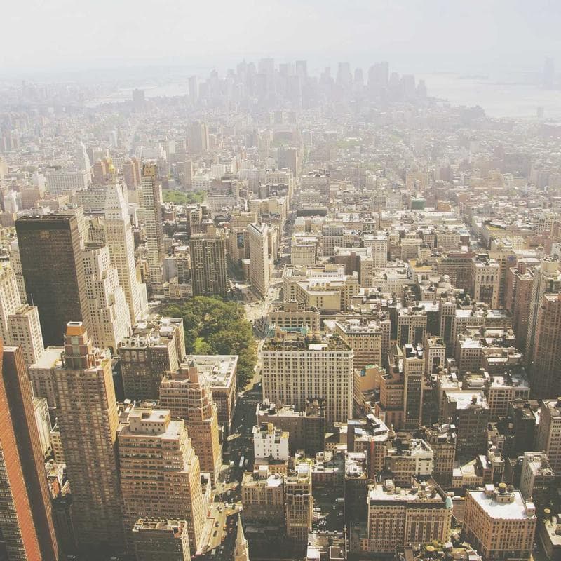 Antique Book Collection - First Editions photo 4