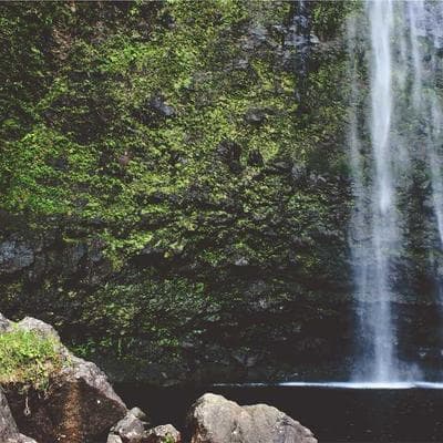 FREE - Box of Assorted Picture Frames