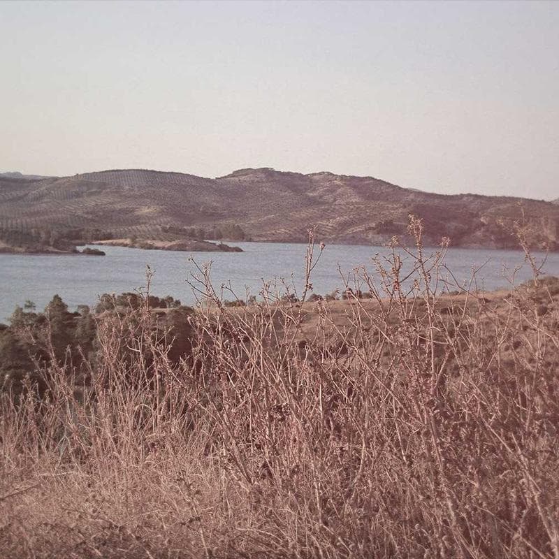 Logitech G Pro X Headset — main photo