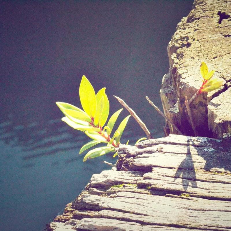 Dell 27" 4K Monitor photo 2