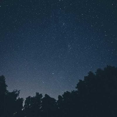 Kobalt 40V Electric Lawn Mower