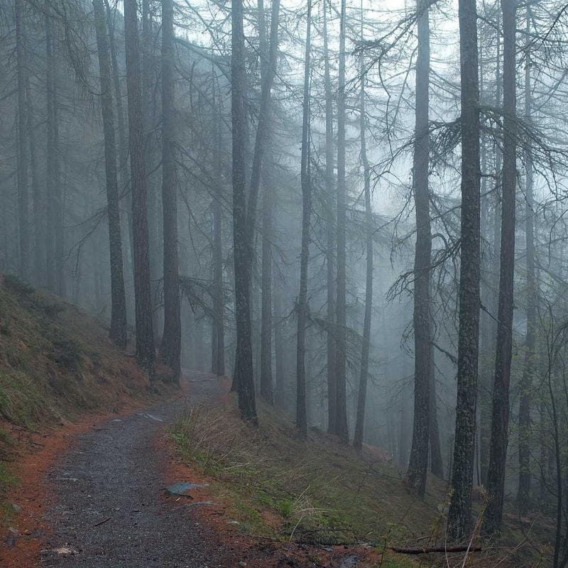 Kobalt 40V Electric Lawn Mower — main photo