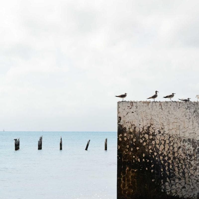 Kobalt 40V Electric Lawn Mower photo 3