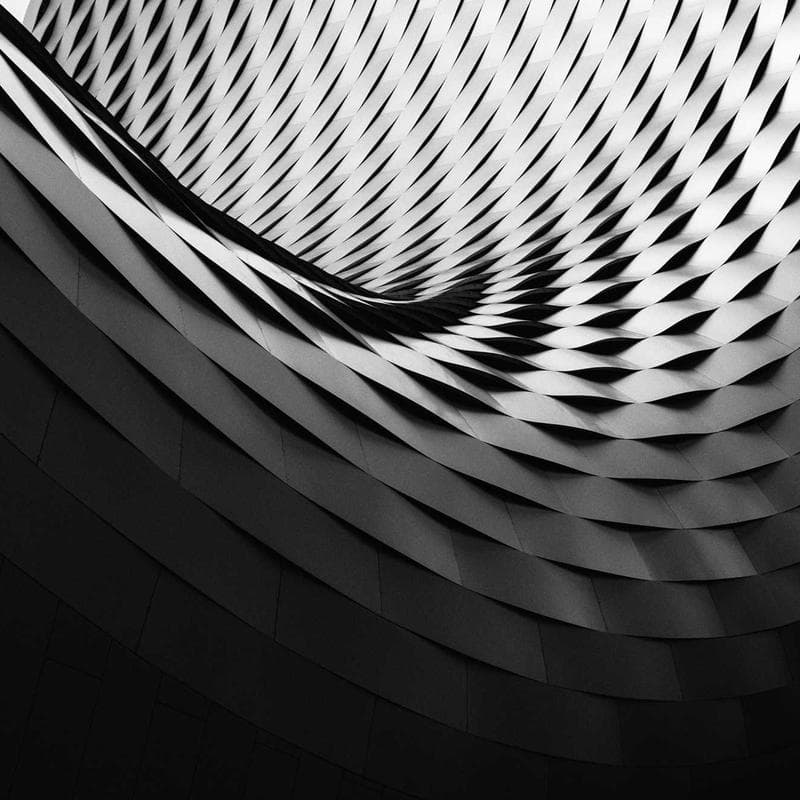 Oil Painting - Texas Bluebonnets — main photo