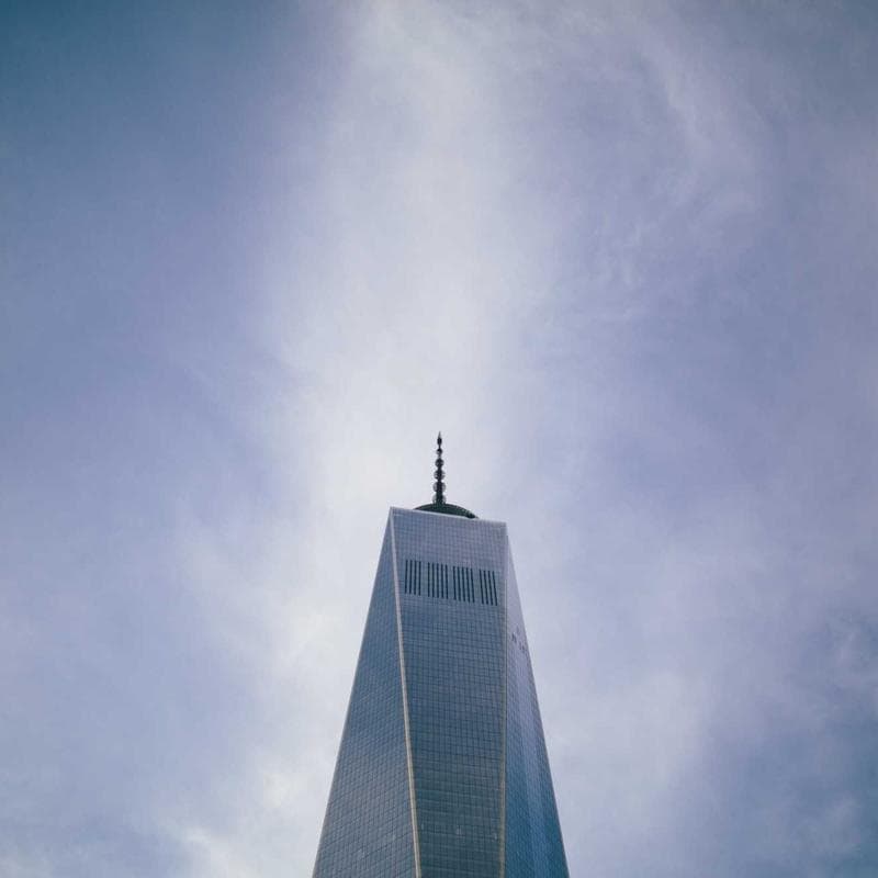 Oil Painting - Texas Bluebonnets photo 2