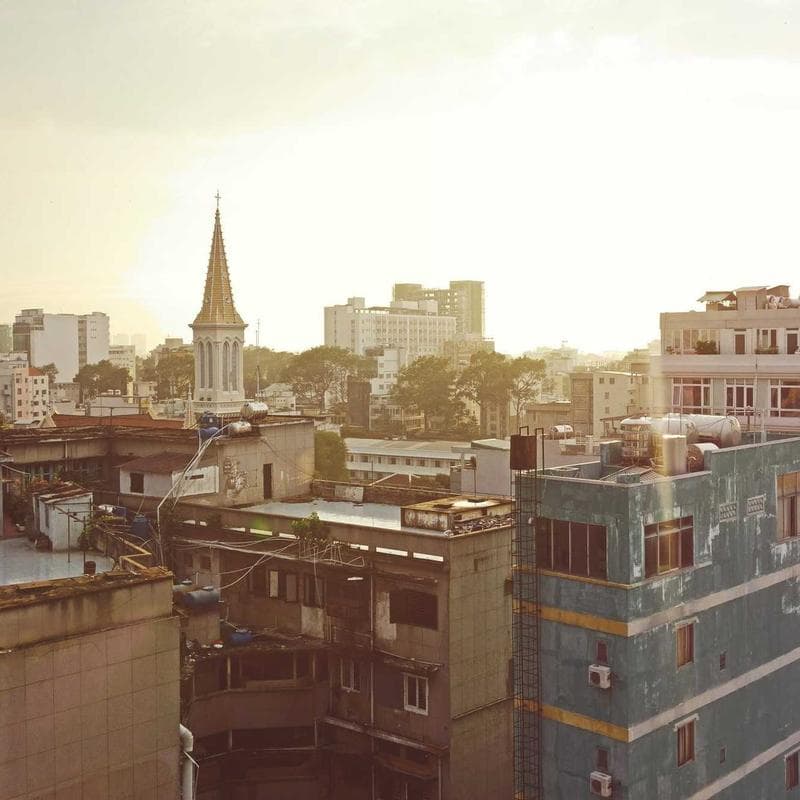 Oil Painting - Texas Bluebonnets photo 3