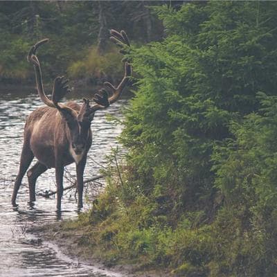 Box of Romance Novels (20+ books)