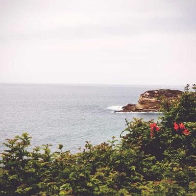 Retro Rotary Phone - Avocado Green