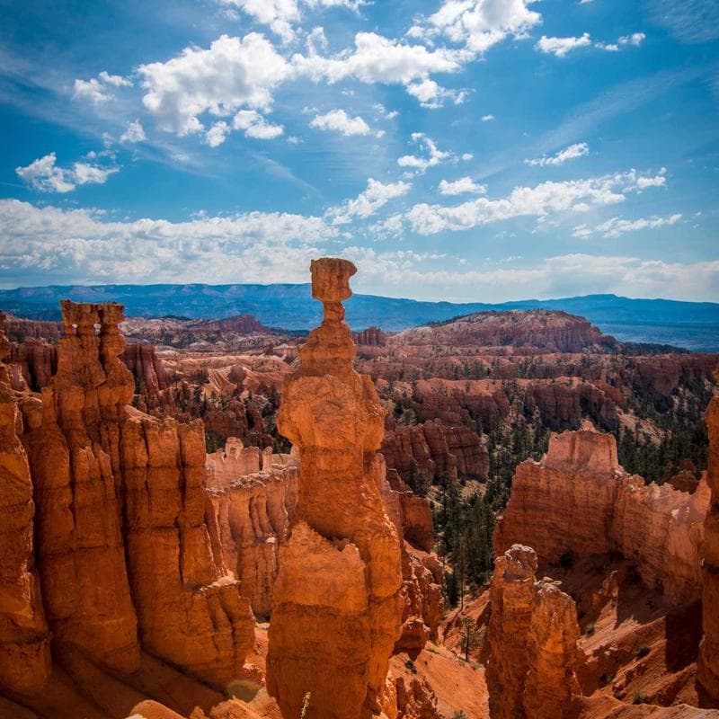 1960s Danish Teak Sideboard photo 5