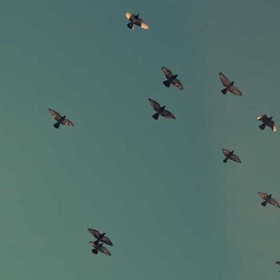 Mid-Century Atomic Starburst Clock