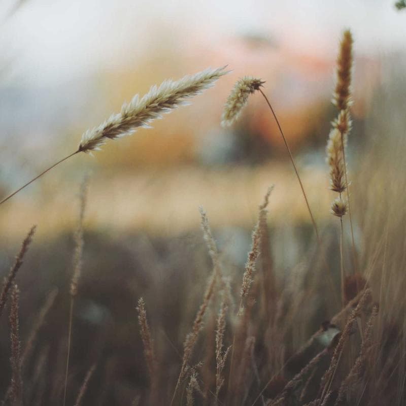 Vintage Saarinen-Style Tulip Table photo 2