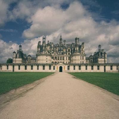 Patio Umbrella with Stand