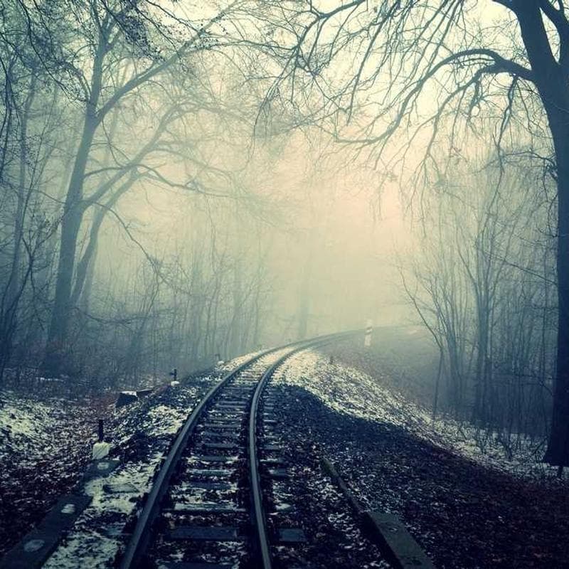 Patio Umbrella with Stand — main photo